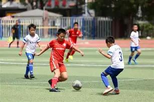 杨佳敏德羽,公开赛力克,越南选手,世界杯买球,2026世界杯,投注技巧,最新赔率,赛事分析