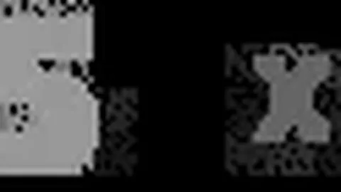 广州球迷盛会激情燃动，青春浪潮点燃狂热之情